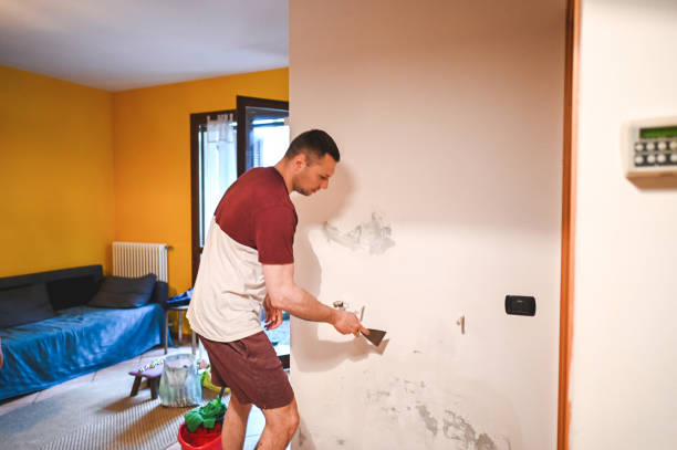 Best Residential Mold Remediation in Elmwood Park, NJ